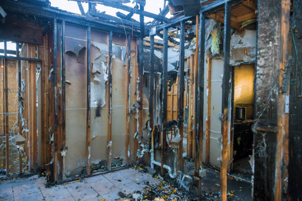 Professional Smoke Damage Removal technician working in Hastings, MN